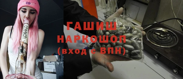 сатива Кулебаки