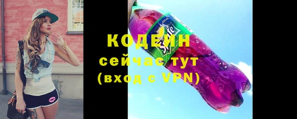 сатива Кулебаки
