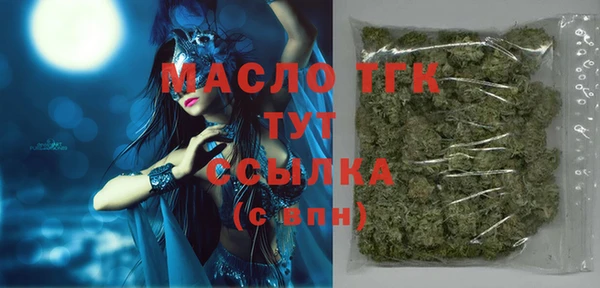 сатива Кулебаки