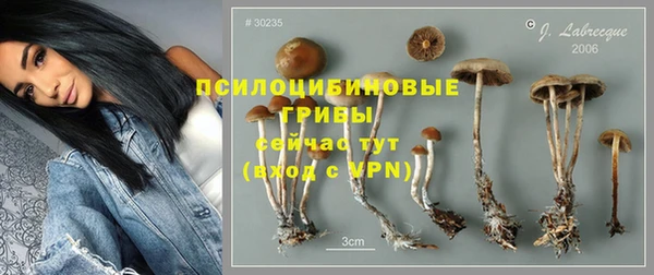 a pvp Кукмор